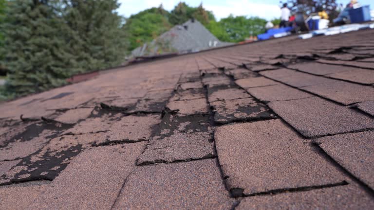 Best Asphalt Shingles Roofing  in Gerber, CA